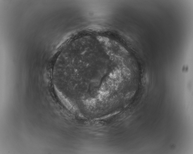 X0000112431397200909041425