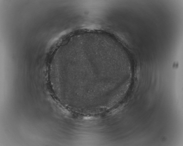 X0000112431398200909041425