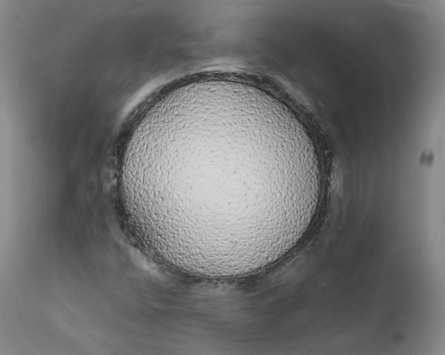 X0000112431400200909041425