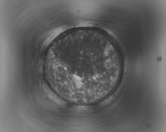 X0000112431401200909041425