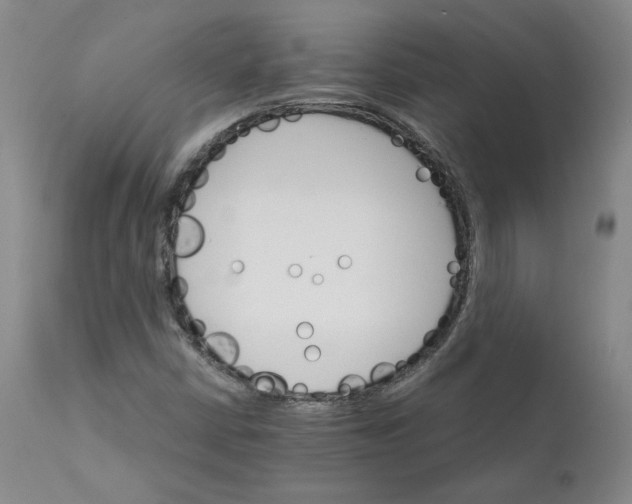 X0000112431402200909041425