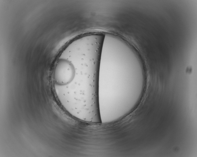 X0000112431404200909041425