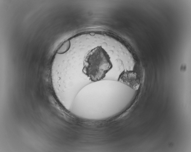 X0000112431405200909041425