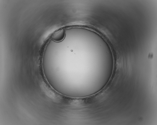 X0000112431406200909041425