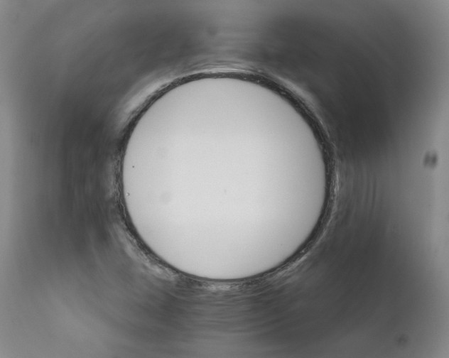 X0000112431407200909041425