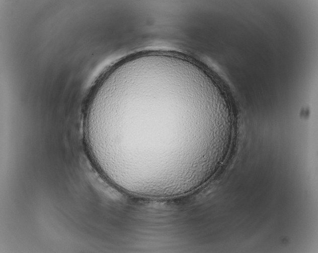 X0000112431408200909041425