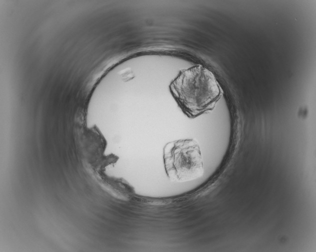 X0000112431409200909041425