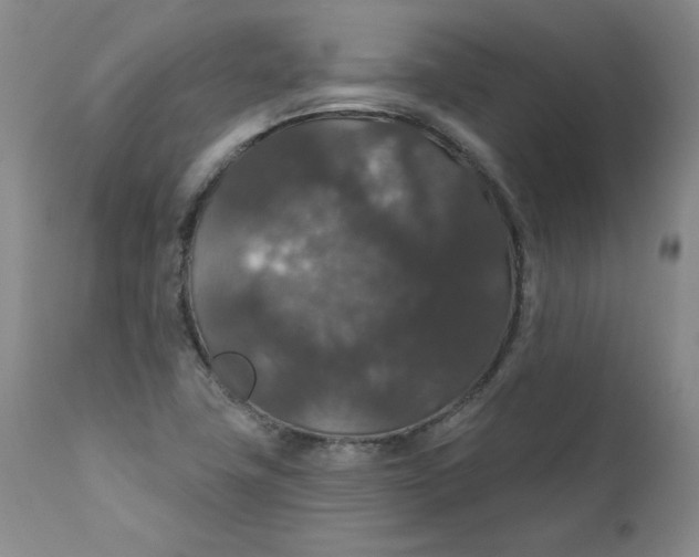 X0000112431411200909041425