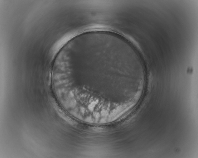 X0000112431413200909041425