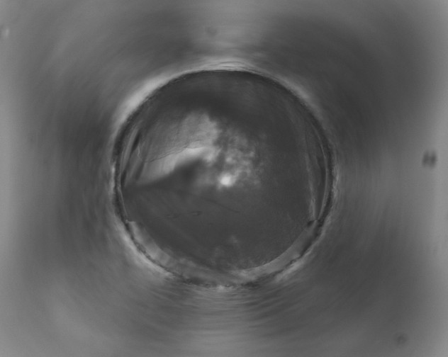 X0000112431414200909041425