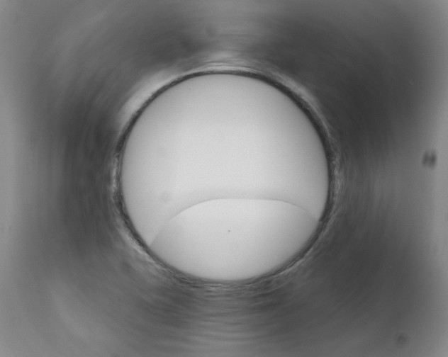 X0000112431415200909041425