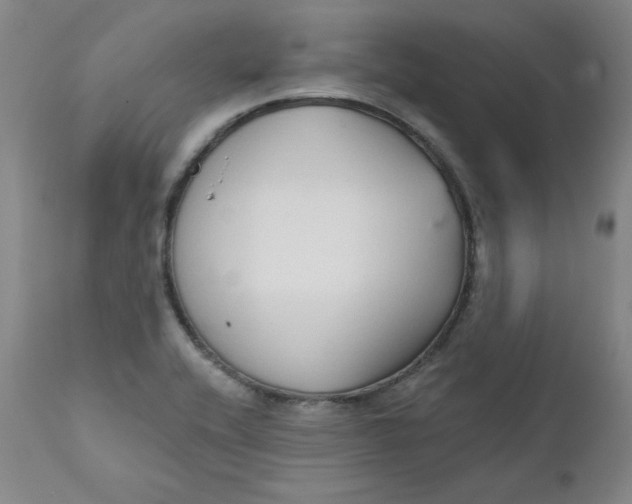 X0000112431416200909041425