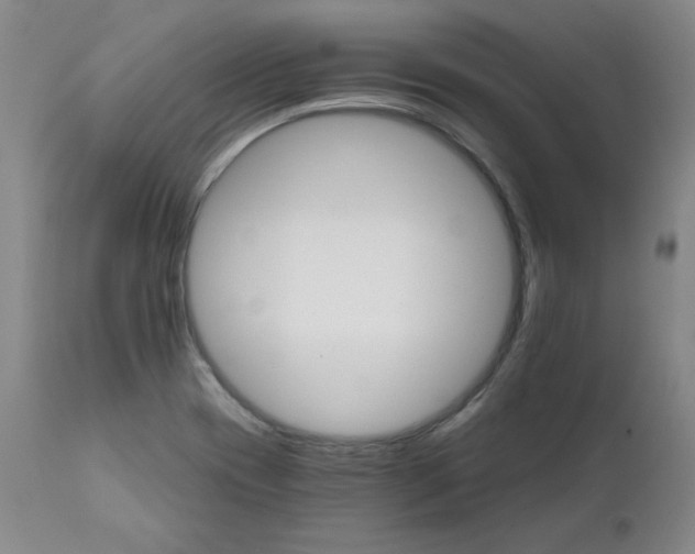 X0000112431417200909041425