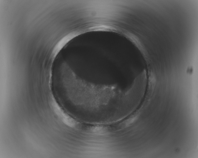 X0000112431418200909041425