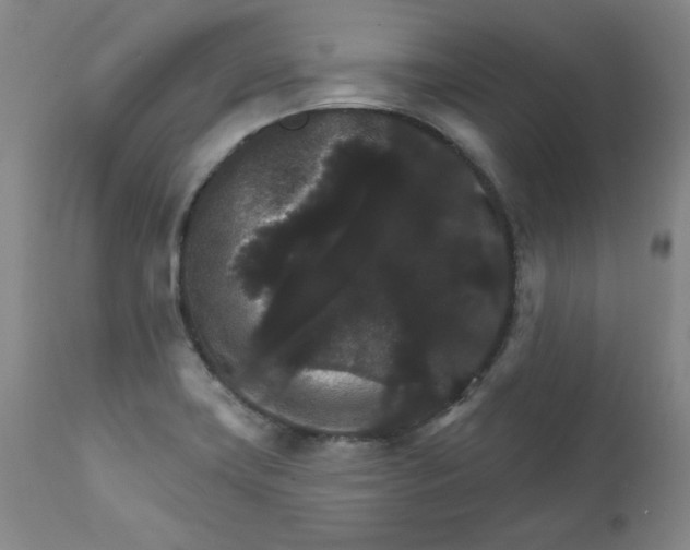 X0000112431419200909041425