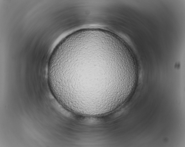 X0000112431420200909041425