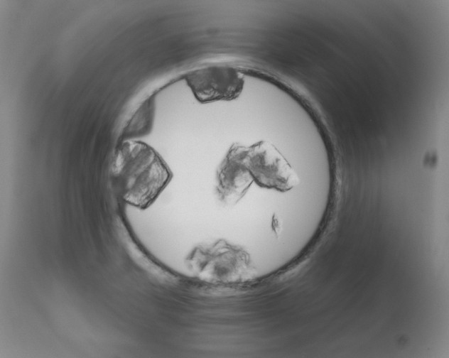 X0000112431421200909041425