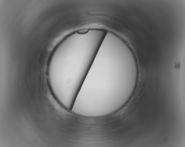 X0000112431422200909041425