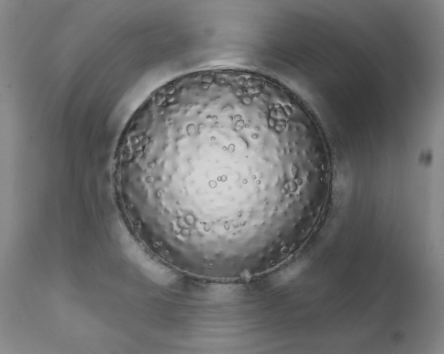 X0000112431423200909041425