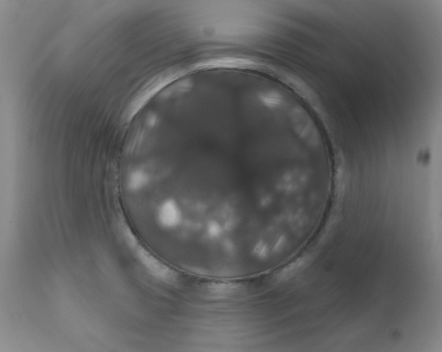 X0000112431425200909041425