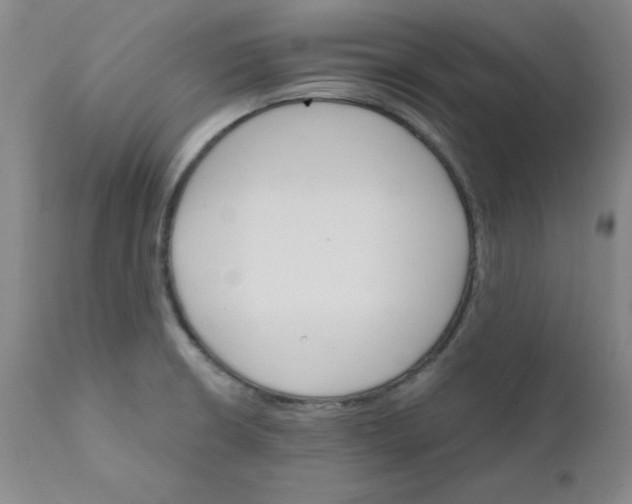 X0000112431426200909041425