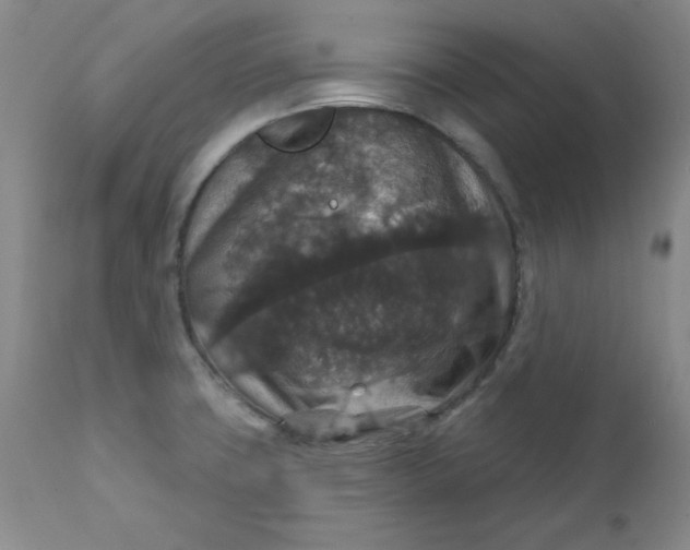 X0000112431427200909041425