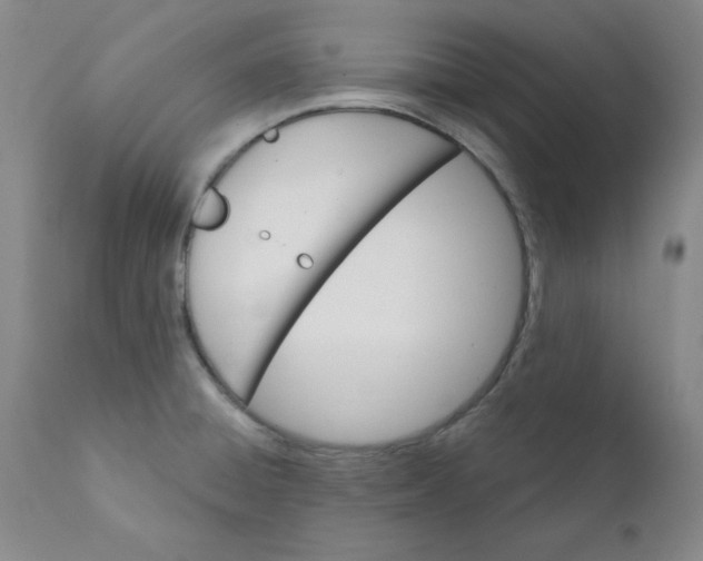 X0000112431428200909041425