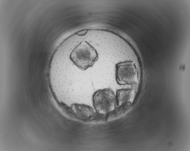 X0000112431429200909041425