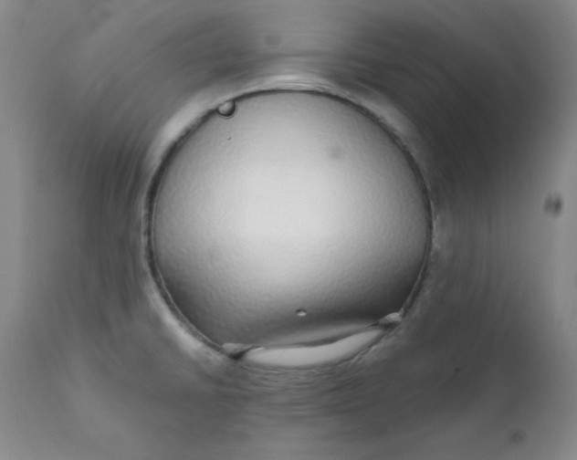 X0000112431430200909041425