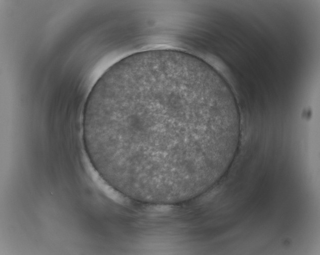 X0000112431431200909041426