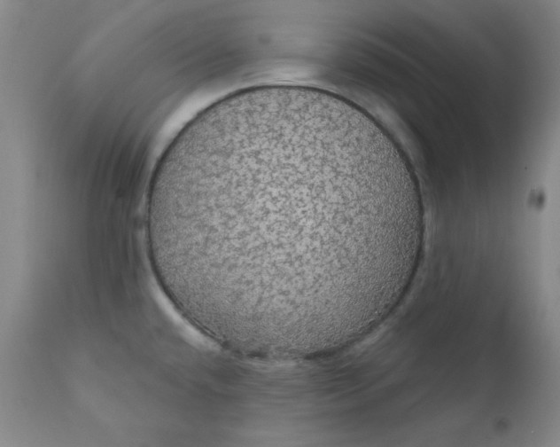 X0000112431432200909041426