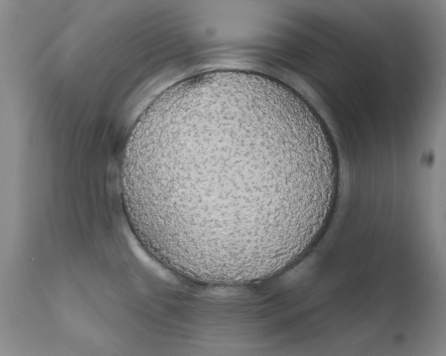 X0000112431433200909041426