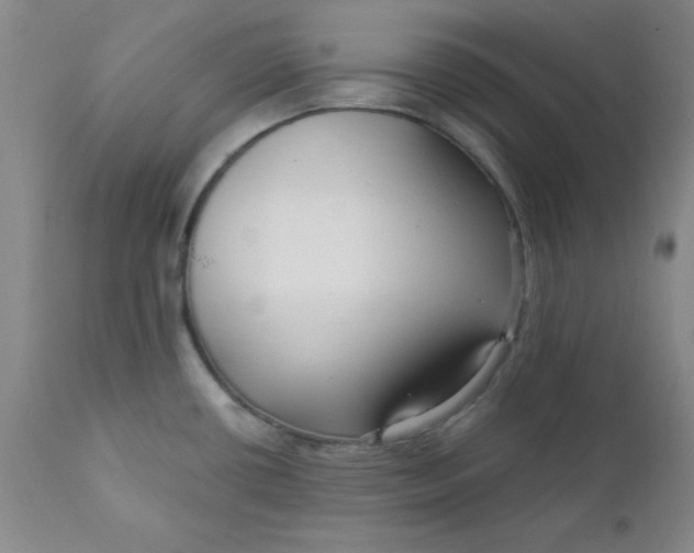 X0000112431434200909041426