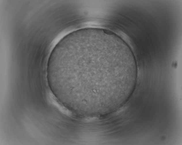 X0000112431435200909041426