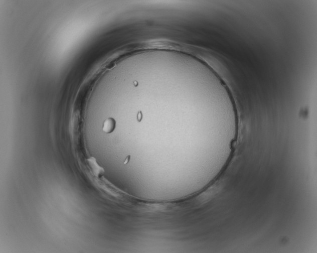 X0000112431438200909041426