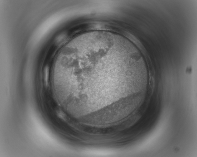 X0000112431439200909041426