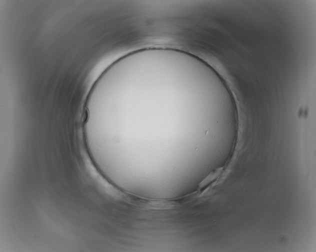 X0000112431440200909041426