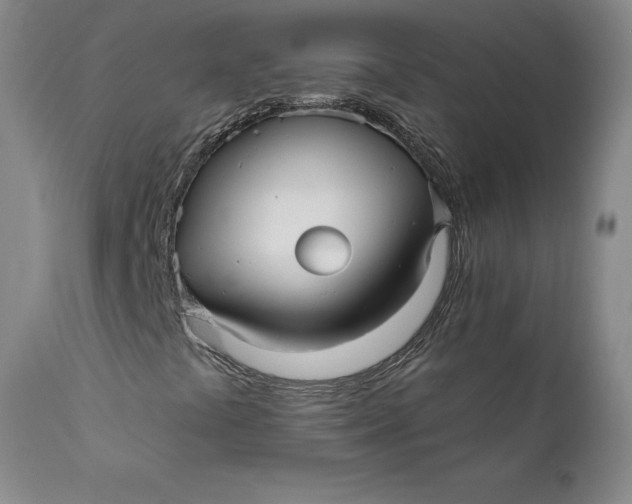 X0000112431441200909041425