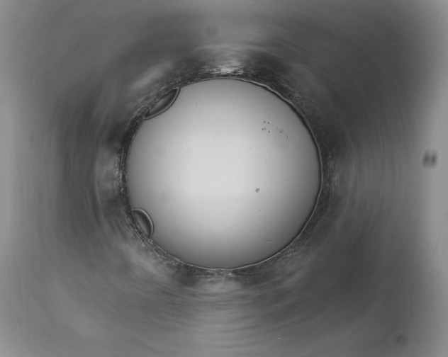 X0000112431442200909041425