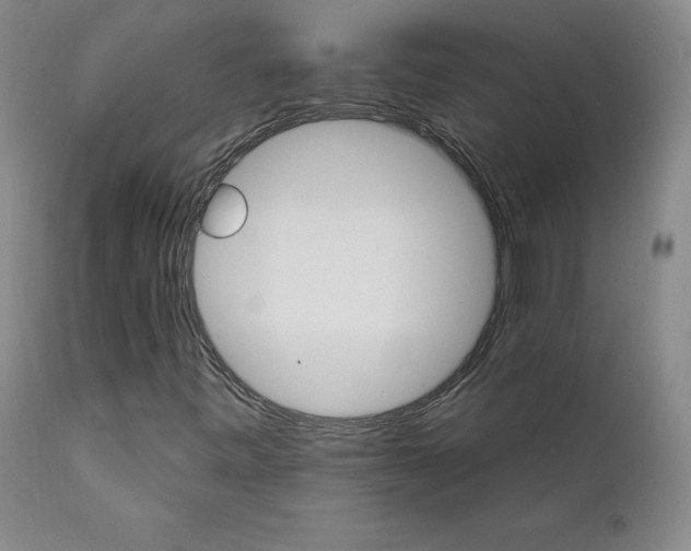 X0000112431443200909041425