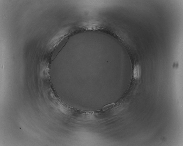 X0000112431444200909041425