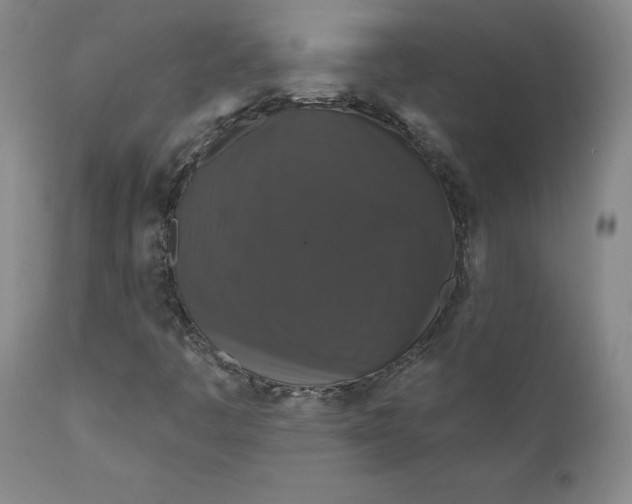 X0000112431445200909041425