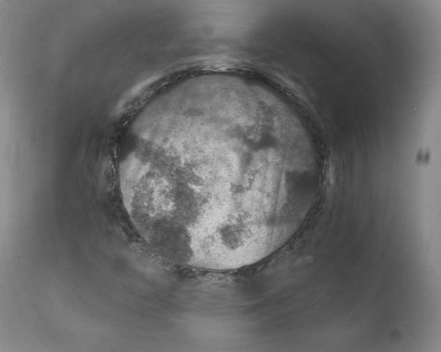 X0000112431446200909041425