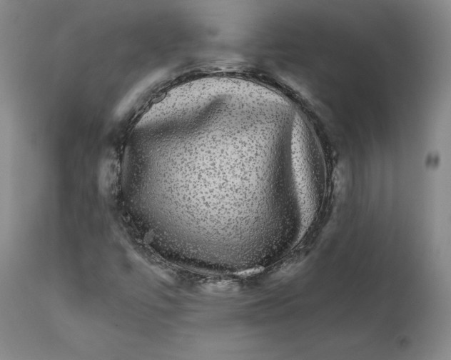 X0000112431447200909041425