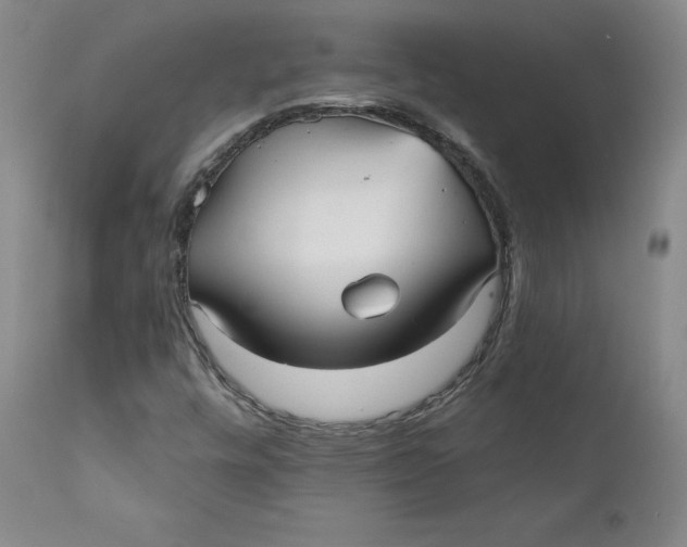 X0000112431448200909041425