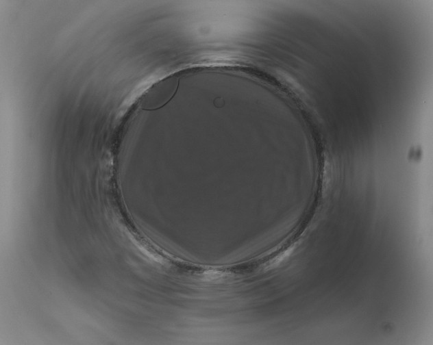 X0000112431449200909041425