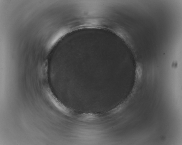 X0000112431450200909041425