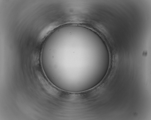 X0000112431451200909041425