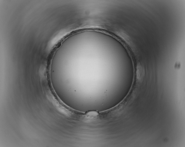 X0000112431452200909041425