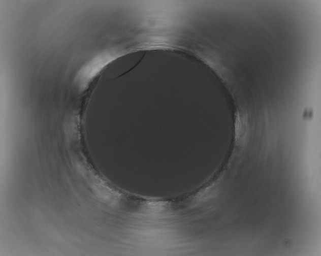 X0000112431453200909041425